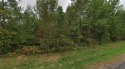 This beautiful, wooded 1.04-acre land is the perfect blank for sale in Breezy Point Minnesota Crow Wing County County on GolfHomes.com