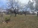 Perched near the top of Blue Ridge Trail, this corner lot offers for sale in Horseshoe Bay Texas Llano County County on GolfHomes.com