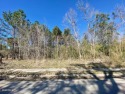 Large lot close to the beach in Bay St. Louise build your home for sale in Bay Saint Louis Mississippi Hancock County County on GolfHomes.com