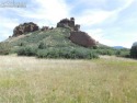 Breathtaking 1-Acre LOT with Tremendous Mountain Views AND a for sale in Larkspur Colorado Douglas County County on GolfHomes.com