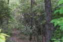 Beautiful building lot in Heatherstone - Highland Tops I for sale in Dillard Georgia Rabun County County on GolfHomes.com