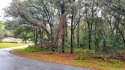 Priced BELOW Market Value. WOW!!! HALF Acre In Luxurious Rainbow for sale in Dunnellon Florida Marion County County on GolfHomes.com