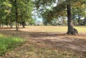 Not many golf course lots available!  This golf course lot is on for sale in Lufkin Texas Angelina County County on GolfHomes.com