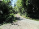 4 ACRE COOL GREEN BANDON OREGON FORESTED HOMESITE! Situated Down for sale in Bandon Oregon Coos County County on GolfHomes.com