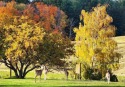  Ad# 6459558 golf course property for sale on GolfHomes.com