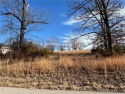 Awesome Level Golf Course Lot overlooking #4 Fairway at Indian for sale in Laurie Missouri Morgan County County on GolfHomes.com