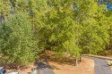 This is the perfect lot to build your dream home in the Highland for sale in Sanford North Carolina Lee County County on GolfHomes.com