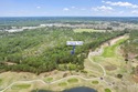 Here it is!! This stunning 13.12-acre property not only offers for sale in Ocean Isle Beach North Carolina Brunswick County County on GolfHomes.com