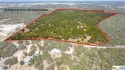 Embraced by the charm of Salado, Texas, this sprawling 100-acre for sale in Salado Texas Bell County County on GolfHomes.com