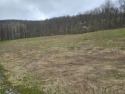 OPPORTUNITY AWAITS! Large building lot in Buck Meadows Estates for sale in Bath New York Steuben County County on GolfHomes.com