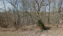 This incredible lot is located just minutes from Lake Loch for sale in Bella Vista Arkansas Benton County County on GolfHomes.com