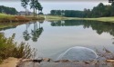  Ad# 6105216 golf course property for sale on GolfHomes.com