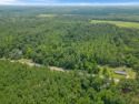 38.64 acres of prime rural recreational property has been for sale in Quincy Florida Gadsden County County on GolfHomes.com