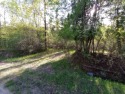 Discover Your Private Paradise in Sugar Springs! Don't miss this for sale in Gladwin Michigan Gladwin County County on GolfHomes.com