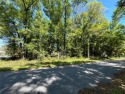 39 ACRE (mol) BUILDING LOT. Corner lot on paved road in the for sale in Williston Florida Levy County County on GolfHomes.com