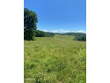 Unrestricted 53.94ac, right next to a well known golf course and for sale in Lafollette Tennessee Campbell County County on GolfHomes.com