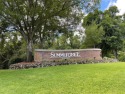 55+ GOLF COURSE community. Live every day like you are on for sale in New Port Richey Florida Pasco County County on GolfHomes.com