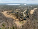 SELECT YOUR BUILDER & YOUR TIMELINE! BEAUTIFUL .5 ACRE LOT for sale in Chapel Hill North Carolina Chatham County County on GolfHomes.com