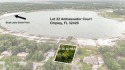🌊 Rare Direct Lake Lot on Boat Lake | 0.26 Acres | Paved for sale in Chipley Florida Washington County County on GolfHomes.com