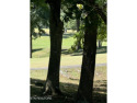  Ad# 5354375 golf course property for sale on GolfHomes.com