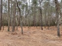 1.28 acre lot in sought after Walnut Creek Village Subdivision for sale in Goldsboro North Carolina Wayne County County on GolfHomes.com