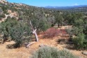 Priced reduced!  Yosemite Lakes Park has excellent amenities for sale in Coarsegold California Madera County County on GolfHomes.com