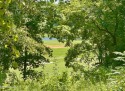 Location, water, view, and golf! You deserve it all! Get your for sale in Hawkinsville Georgia Pulaski County County on GolfHomes.com