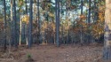 Don't miss this rare opportunity to own a 1.19-acre wooded lot for sale in Jackson Springs North Carolina Moore County County on GolfHomes.com