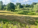 Exciting Opportunity - Two Lots for the Price of One!
Over 1 for sale in Albany Minnesota Stearns County County on GolfHomes.com