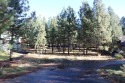 This is a spacious 0.32 acre lot in Widgi Creek. Located on a for sale in Bend Oregon Deschutes County County on GolfHomes.com