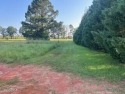 Beautifully leveled. 056 acre lot that backs up to fairway for sale in Hawkinsville Georgia Pulaski County County on GolfHomes.com