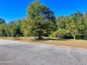 Quiet and established and on the golf course! This .53 acre lot for sale in Cordele Georgia Crisp County County on GolfHomes.com