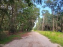 Secluded wooded lot in a low-density neighborhood on Lady's for sale in Beaufort South Carolina Beaufort County County on GolfHomes.com