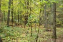 Build your dream home or cabin on this well treed level lot set for sale in Cable Wisconsin Bayfield County County on GolfHomes.com