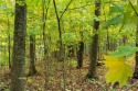 This wooded lot is perfect for a walkout home or cabin  between for sale in Cable Wisconsin Bayfield County County on GolfHomes.com