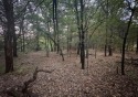 Discover this stunning, oversized corner lot spanning nearly for sale in Gordonville Texas Grayson County County on GolfHomes.com
