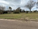 Affordable lot that's ready to build on in Wolf River Ranch for sale in Lumberton Mississippi Pearl River County County on GolfHomes.com