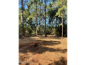 Come build your dream home on this wooded .70 acre lot located for sale in Beaufort South Carolina Beaufort County County on GolfHomes.com