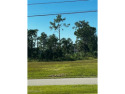 Here is the perfect lot for you to build your dream home! This for sale in Punta Gorda Florida Charlotte County County on GolfHomes.com