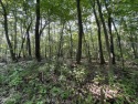 Great building lot at Blue Knob Resort.  Water, Sewer and for sale in Claysburg Pennsylvania Bedford County County on GolfHomes.com