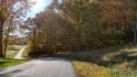 GORGEOUS large 1.13 acre lot located in the beautiful Owen Glen for sale in Blairsville Georgia Union County County on GolfHomes.com