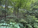 Great building lot at Blue Knob Resort.  Water, Sewer and for sale in Claysburg Pennsylvania Bedford County County on GolfHomes.com