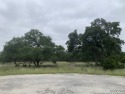 Discover the perfect canvas for your Hill Country dream home on for sale in Spring Branch Texas Comal County County on GolfHomes.com