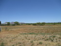 Building lot in gated development - adjacent to Douglas Golf for sale in Douglas Arizona Cochise County County on GolfHomes.com