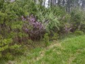 Beautiful lot with no covenants & restrictions perfectly for sale in Moneta Virginia Franklin County County on GolfHomes.com