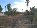 Small lot zoned General Rural looking at the 10th Fairway of for sale in Queen Valley Arizona Pinal County County on GolfHomes.com