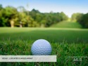  Ad# 5879843 golf course property for sale on GolfHomes.com