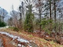 Private wooded 1.24 acre lot in established subdivision.  Only for sale in Bucksport Maine Hancock County County on GolfHomes.com
