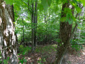  Ad# 6369790 golf course property for sale on GolfHomes.com