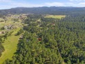 Endless possibilities with this beautiful Black Hills lot, just for sale in Sturgis South Dakota Meade County County on GolfHomes.com